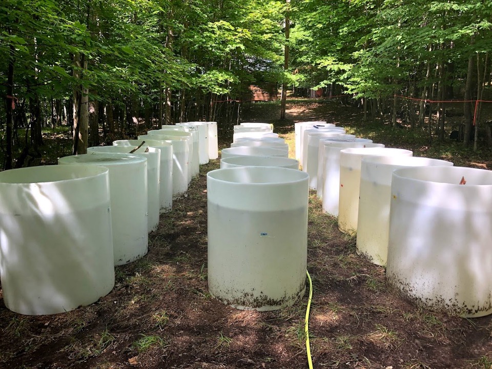 New publication by Jessie Reynolds