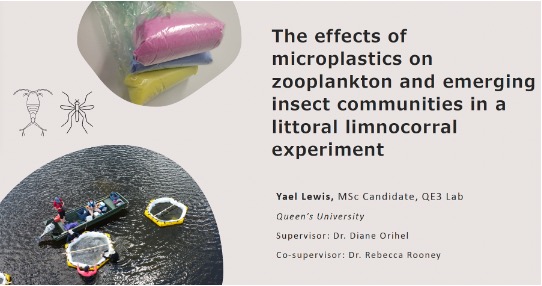 Yael Lewis defends MSc Thesis